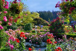 باغ بوچارت، بهشتی زیبا در کشور کانادا