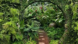 باغ بریف بنتوتا شاهکاری ماندگار از دو برادر سریلانکایی