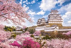 آشنایی با بهترین و بدترین زمان برای سفر به ژاپن