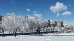 طبیعت زمستانی سنندج + عکس ها