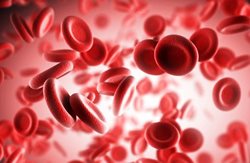 کدام گروه خونی در معرض ابتلا به بیماری کرونا است؟