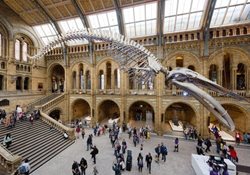 اعلام تعطیلی موزه های بریتانیا