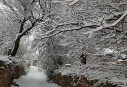 بارش برف بهاری در الیگودرز لرستان + تصاویر
