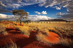 جاهای دیدنی نامیبیا؛ کشوری شگفت انگیز در قاره آفریقا