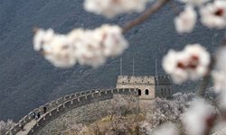 تصاویر دیدنی از دیوار چین در بهار