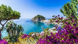 جزیره ایشیا؛ زیبایی بکر و دیدنی در ایتالیا