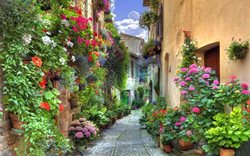 ورونا ایتالیا؛ زیبایی اسرارآمیز در بطن کشوری اروپایی