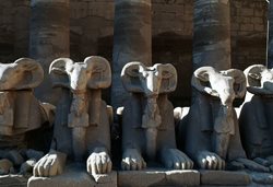 قرار گرفتن مجسمه های باستانی مصر در میدان تحریر