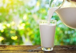 هشدار نسبت به مصرف شیرهای غیر پاستوریزه