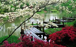 آشنایی با تعدادی از زیباترین باغ های ژاپنی