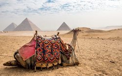 راهنمای سفر به قاهره مصر؛ دنیایی از عجایب و شگفتی ها
