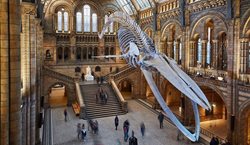 اعلام بازگشایی سه موزه بزرگ لندن در آینده نزدیک