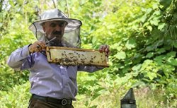 زنبورداری، حرفه کهن ایرانی + تصاویر