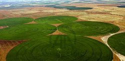 تصاویر هوایی از مزارع دایره ای قونیه