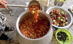 پخت لواشک خانگی در همدان + عکسها