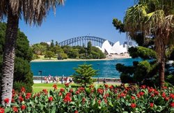 باغ گیاه شناسی سلطنتی سیدنی؛ مکانی مناسب برای دوستداران طبیعت