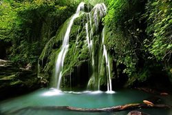 آبشار رنگو گرگان؛ زیبایی افسونگر در بطن گلستان