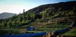 سفر به منطقه کوهستانی البرز مرکزی + عکسها