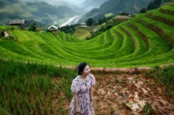 مزارع برنج پلکانی ویتنام به روایت تصویر