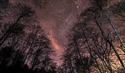 آسمان پر ستاره شب + عکس