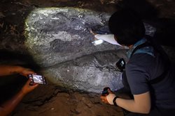 اعلام کشف سنگ نگاره های ماقبل تاریخ در تایلند