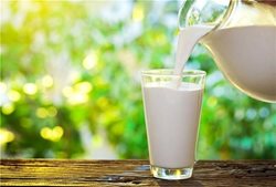 8 دلیل مهم برای اینکه «شیر» را دوست داشته باشیم