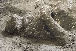 اعلام کشف بقایای تقریبا سالم دو مرد در پمپئی