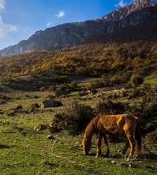 طبیعت روستای ارفع ده + عکسها
