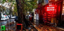 برگ های باران خورده پاییزی در خیابان های تهران + عکسها
