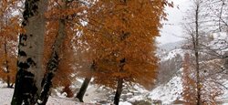 تقابل پاییز و زمستان در روستاهای رضوانشهر‎ + عکسها