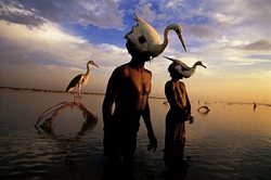 ماهیگیران در هند + عکس