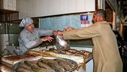 بازار ماهی فروشان خرمشهر + عکسها