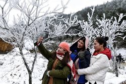 شادی برف در ویتنام + عکسها