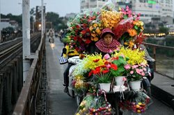 زن گل فروش در ویتنام + عکس