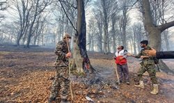 تلاش برای مهار آتش سوزی در جنگلهای اشکورات + تصاویر