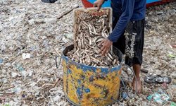 ماهیگیری در میان انبوه زباله در ساحل بالی + عکسها