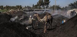 تولید زغال در غزه + عکسها
