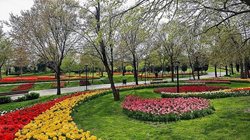 معرفی کوتاه تعدادی از زیباترین پارک های مشهد