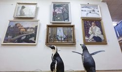 گشت پنگوئن ها در موزه + عکس