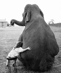 رابطه دوستانه یک دختر بچه و فیل سیرک + عکس