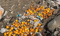 انباشت زباله در ساحل کلاچای + عکسها