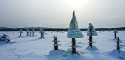 قارچ های یخی در دالنی واستوک روسیه + عکسها