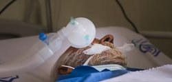 بیمارستان پیامبر اعظم کرمان در وضعیت قرمز کرونایی + عکسها