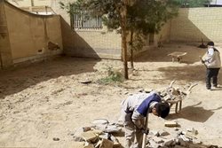 مرمت مدرسه تاریخی ایرانشهر در یزد شروع شد