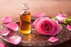 استشمام عطر خوش گلاب برای روزه داران مفید است