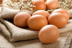 تخم مرغ چقدر کالری دارد؟