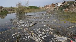 آلودگی رودخانه بین النهرین در عراق + عکسها