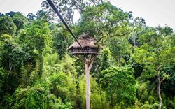 اقامتی هیجان انگیز در بلندترین خانه درختی جهان در لائوس