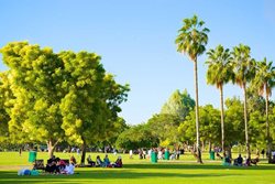 پارک صفا دبی؛ جذاب ترین پارک دبی برای جهانگردان