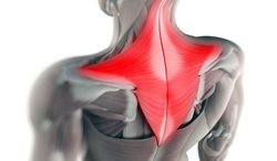 چگونه از شر گره های عضلانی گردن رها شویم؟